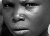 Face Of Life: by mwambo, Views[173]