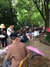 We walked throug People's Park and saw dozens of parents with ads for their single chindren hoping to find them a boyfriend or girlfriend!: by mwollak, Views[247]