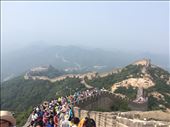 The Great Wall of China.  I hiked up to the highest point on this section of the wall. : by mwollak, Views[224]