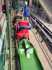 I took the sliding car down the mountain (and ended up on the wrong side) but the view was great, even if the safety standards weren't!: by mwollak, Views[193]