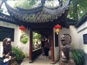 We went to Yuyuan Garden, which was a beautiful old garden that provided some peace and tranquility in the center of a bustling city.  After that we got some delicious steamed buns (dumplings).: by mwollak, Views[168]