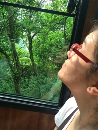 We took the Peak Tram, the oldest funicular in Asia, up to Victoria Peak.  It is the highest point on Hong Kong island and gave us a beautiful view of the city and the surrounding islands. 