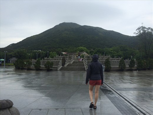 Beautiful lush greenery of Hong Kong