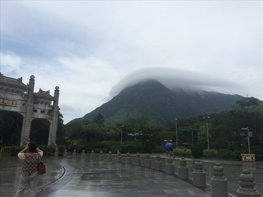 Beautiful lush greenery of Hong Kong