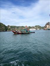 Floating fishing village in Ha Long Bay: by mwollak, Views[179]
