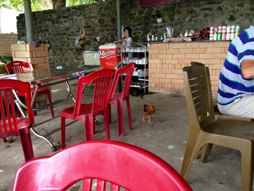 We stopped for lunch at the top of the mountain and we made a friend