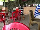 We stopped for lunch at the top of the mountain and we made a friend: by mwollak, Views[156]