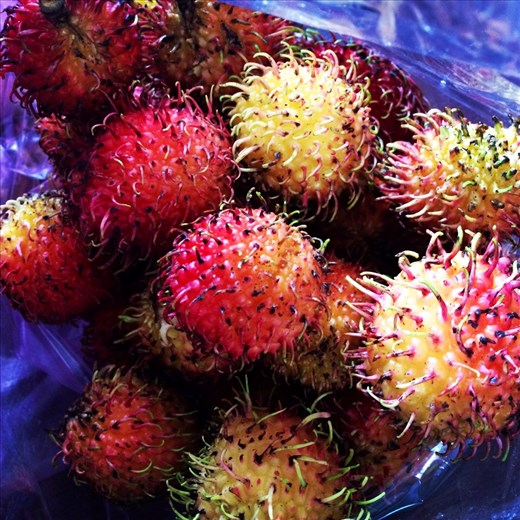 I have found my new favorite food!  It's a terrifying looking fruit but oh so delicious!  It's called a rambutan and it's similar to a lychee.  