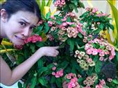 How can a flower be so pretty yet so dangerously thorny at the same time?: by mwollak, Views[161]