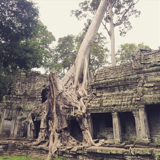 Nature taking over an empire long gone