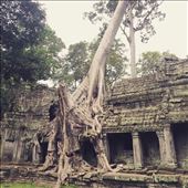 Nature taking over an empire long gone: by mwollak, Views[738]