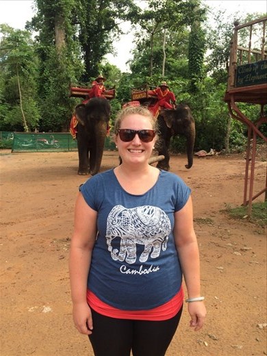 Elephants in the temples!