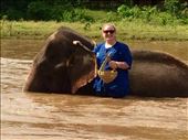 Riding and playing with the elephants.: by mwollak, Views[148]