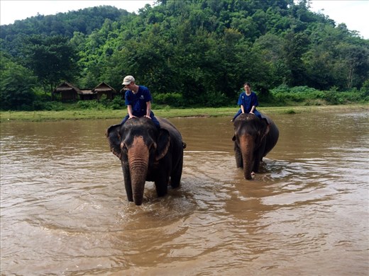Riding and playing with the elephants.