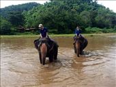 Riding and playing with the elephants.: by mwollak, Views[200]