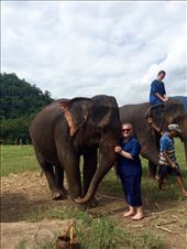 Riding and playing with the elephants.: by mwollak, Views[217]