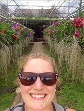 Orchids, orchids and more orchids at the orchid farm: by mwollak, Views[183]