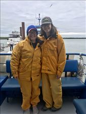 Whale Watching in Vancouver!! We saw 4 orcas!: by mwollak, Views[180]