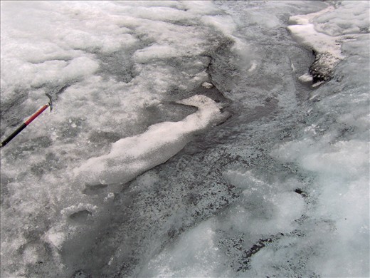 Walking on the glaciers we can find the essence of life. 