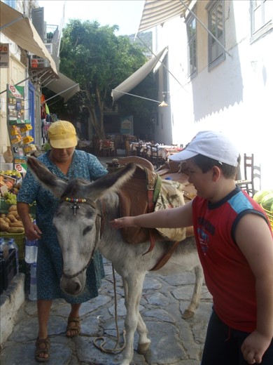in most greek islands, roads are too narrow for cars to pass so they still use donkeys for carrying things and people..