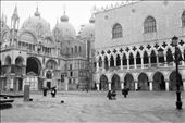 The brave travelers in the swimming pool of St. Mark's: by my-scholarship-entry-flooded-venice, Views[561]
