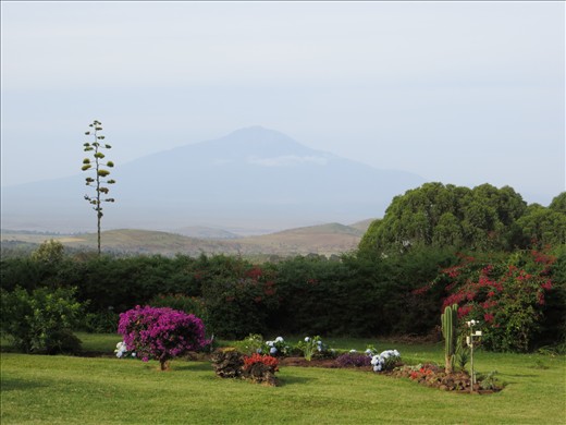 We stayed at Simba Farm (5800 ft) for 2 nights to help acclimate before the climb. This is the view of their beautiful butterfly garden with Mt. Meru in the background.