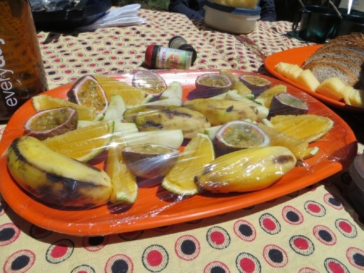 Lunch Day 1 - I could not believe the amount of fresh fruits and veggies we had each day. All of the meals were delicious! And just think ... our porters had to carry all of this food in as well as the cooking tent, dining tent, table, chairs,  and all the other equipment! This was definitely high end camping! :-)