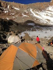Arrow Glacier Camp (15,980 ft): by my_year_of_yes, Views[207]