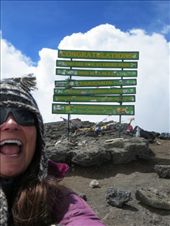 Woot Woot!!! (Viola!!): by my_year_of_yes, Views[225]