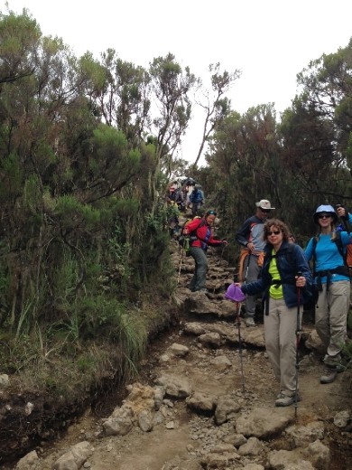 Heading back down from Barafu Camp to Mweka Huts. Descending over 5000' in a day is NOT easy on the knees!