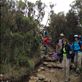 Heading back down from Barafu Camp to Mweka Huts. Descending over 5000' in a day is NOT easy on the knees! Views[170]