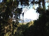 Back in the jungle at the bottom of Kilimanjaro we have one last look back at where we were!: by my_year_of_yes, Views[170]
