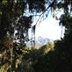 Back in the jungle at the bottom of Kilimanjaro we have one last look back at where we were! Views[154]