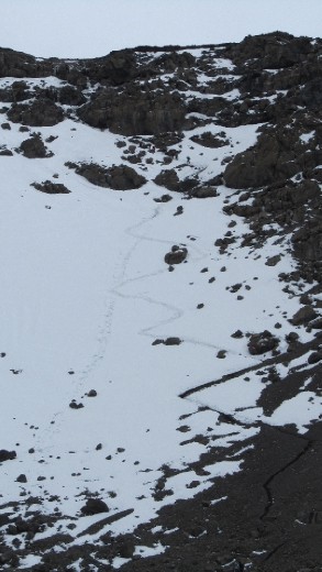 Ok ... the last 45 minute trek to the summit ... through the snow!