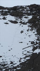 Ok ... the last 45 minute trek to the summit ... through the snow!: by my_year_of_yes, Views[155]