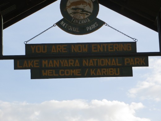 Day 1 Safari - Lake Manyara National Park