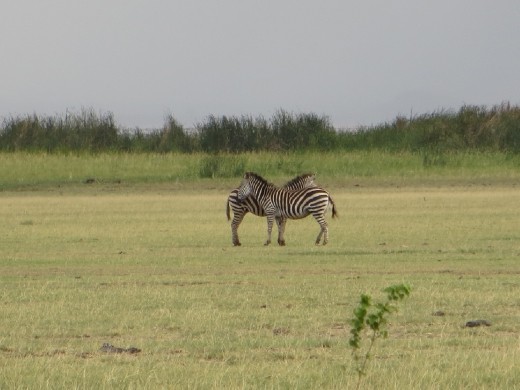 ... It's seriously like an optical illusion!!