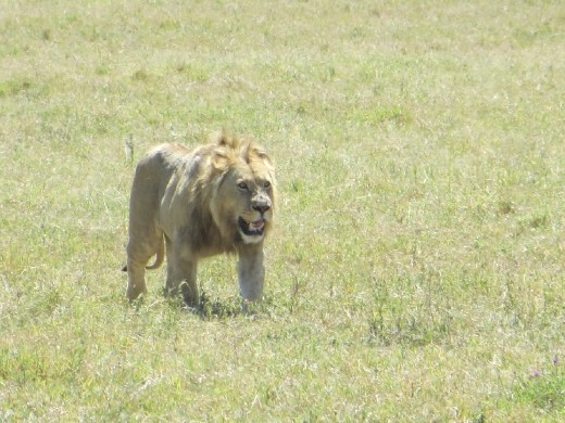 The young male in the group