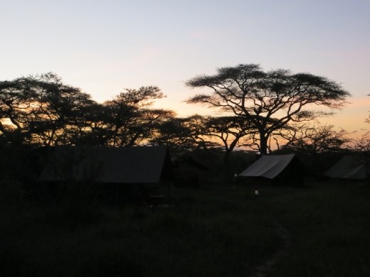 My first Serengeti Sunset!