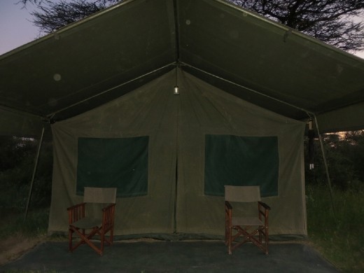 My tent at the Serengeti Camp ... still rustic but I had a bed! :-)