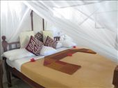 Compared to what I had been experiencing the last 3 weeks with camping and hostels ... the Ras Nungwi was LUXURIOUS!!!!: by my_year_of_yes, Views[145]