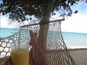 Relaxing on the beach after a dive with a mango daiquiri! FRESH MANGO!!!: by my_year_of_yes, Views[255]