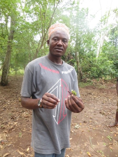 Spice Farm Tour - the Island of Zanzibar is well known for their diversity of spices!