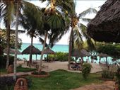 The beach view at the Ras Nungwi ... shangrila!: by my_year_of_yes, Views[274]