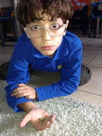 Science Experiment - Rocks