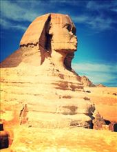 by my_year_of_yes, Views[322]