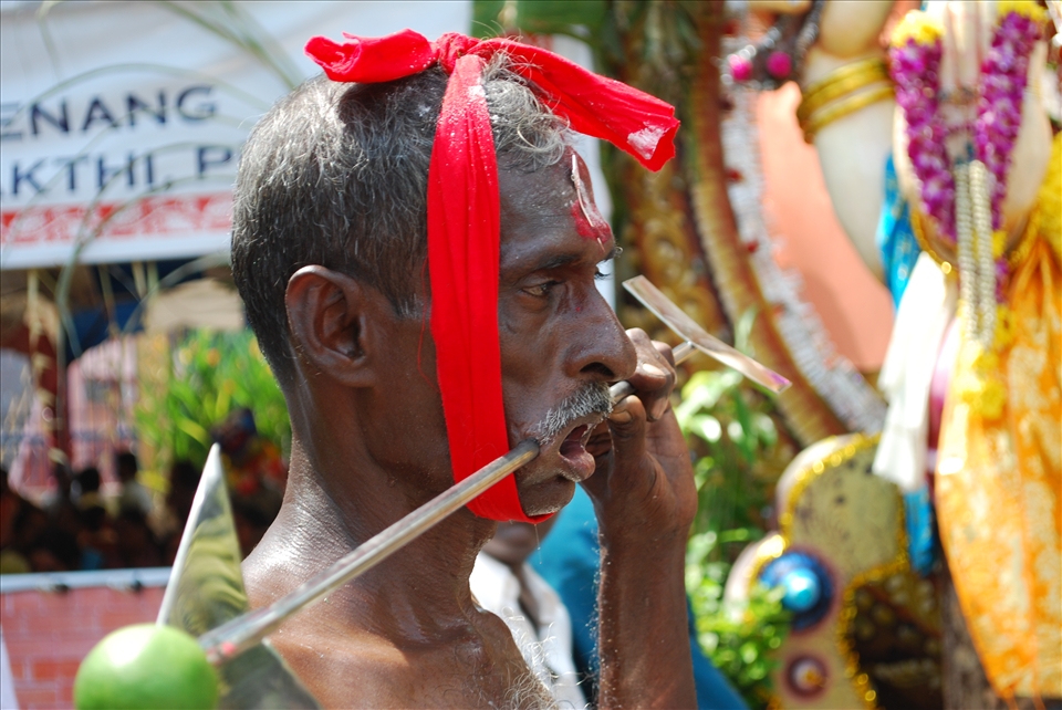 Devotion. A 'kavadi' bearer at the hindu festival of thaipusam