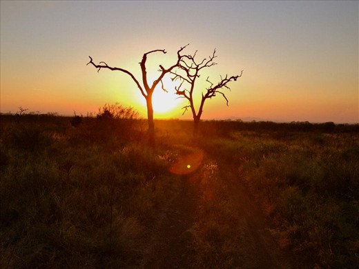 There is no sight like an African Sunset