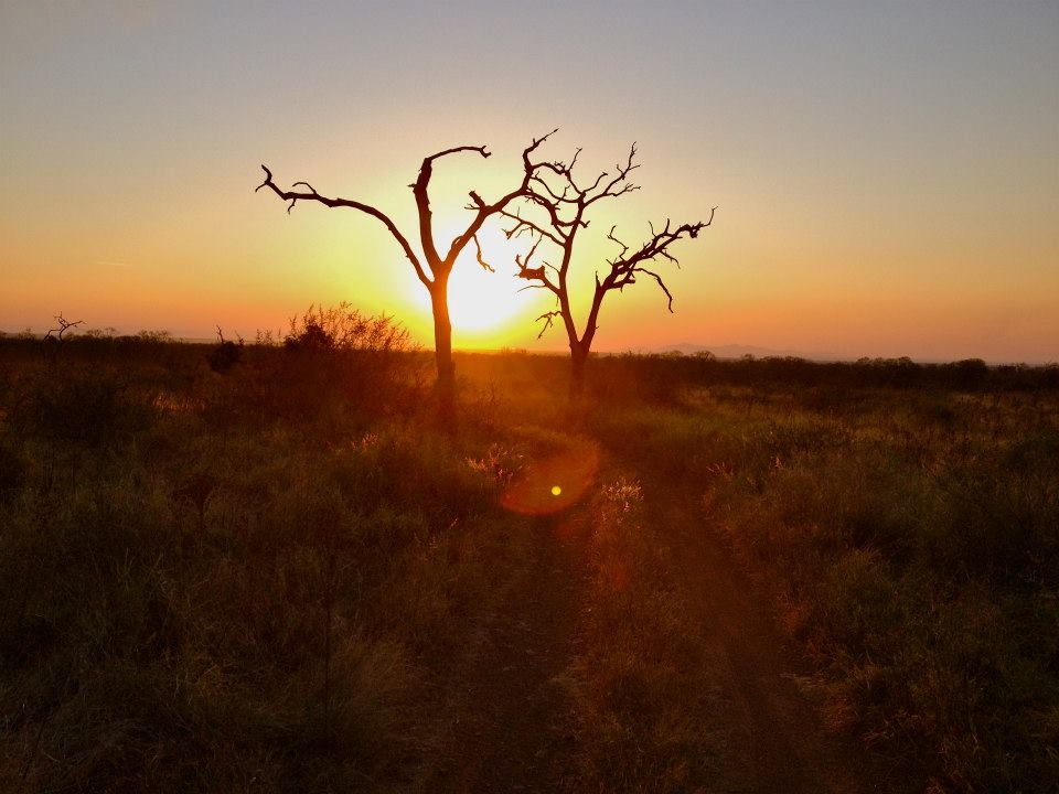 There is no sight like an African Sunset