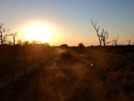 The beauty of an African Safari